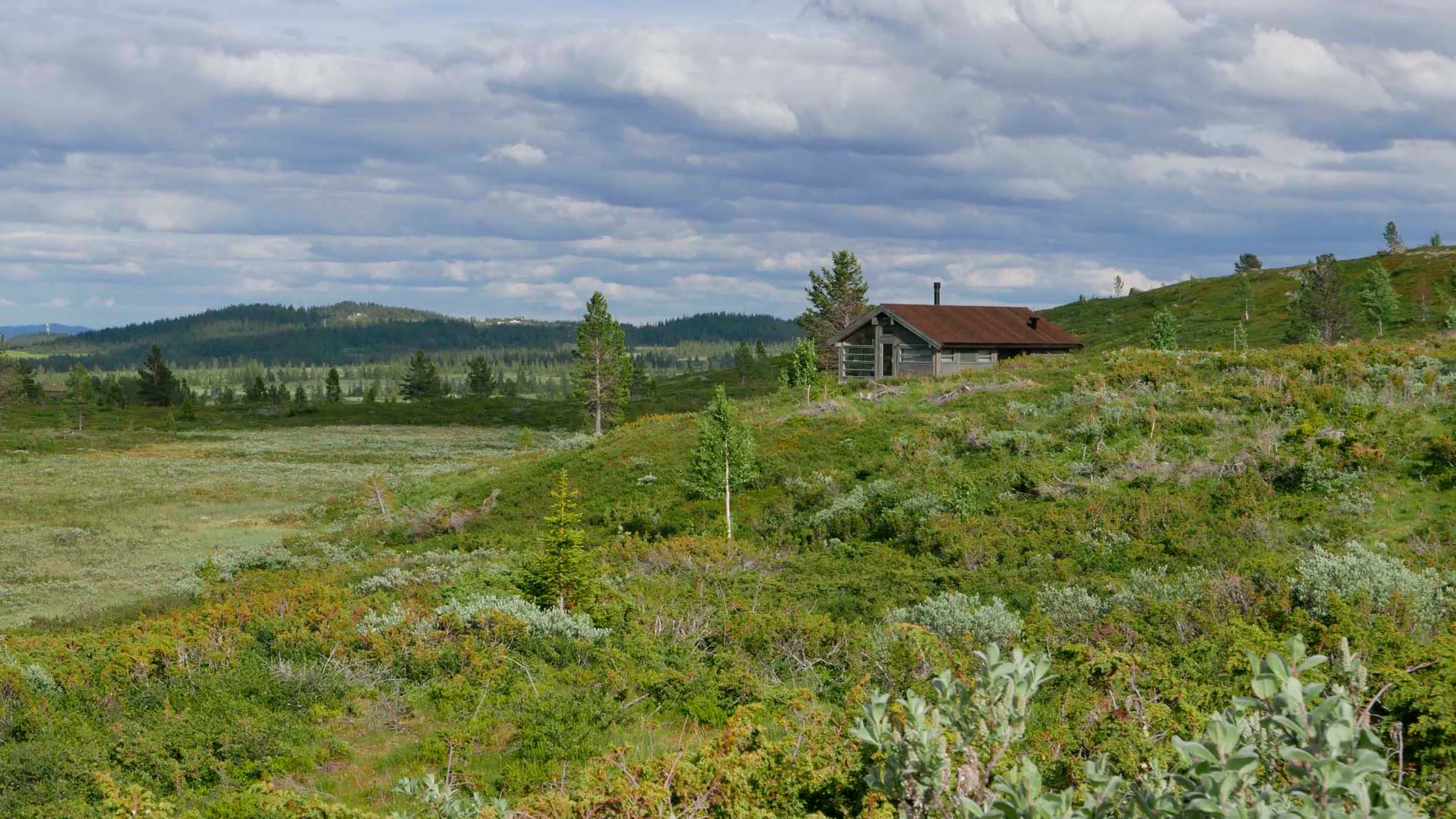 D25-26 fra Ålhytta