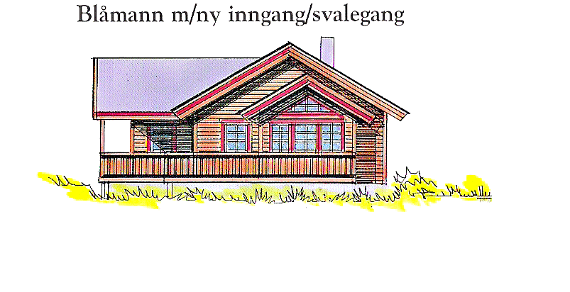 Blåmann fra Lenvikhytta