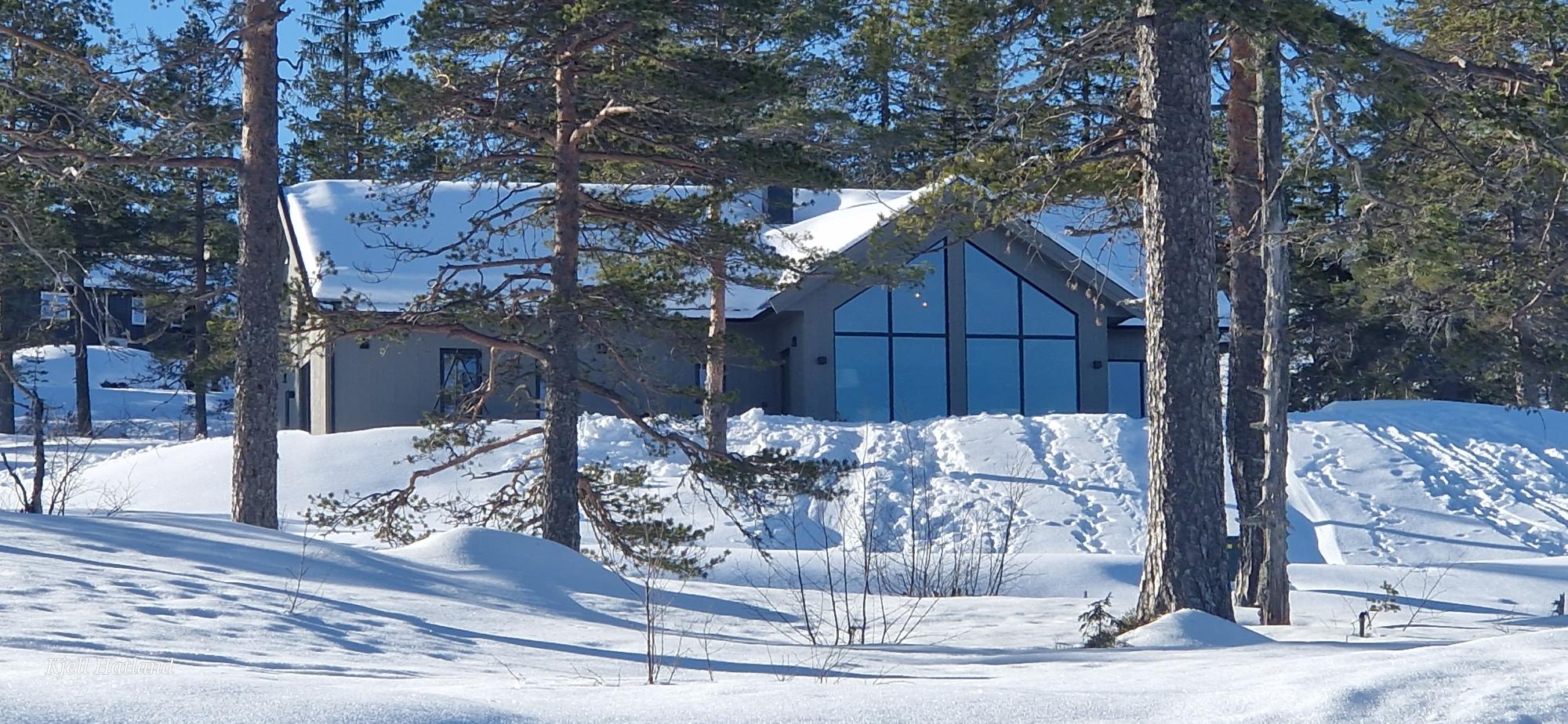 Varde fra Norske Fjellhus